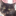 How Cats See the World | Conscious Cat favicon